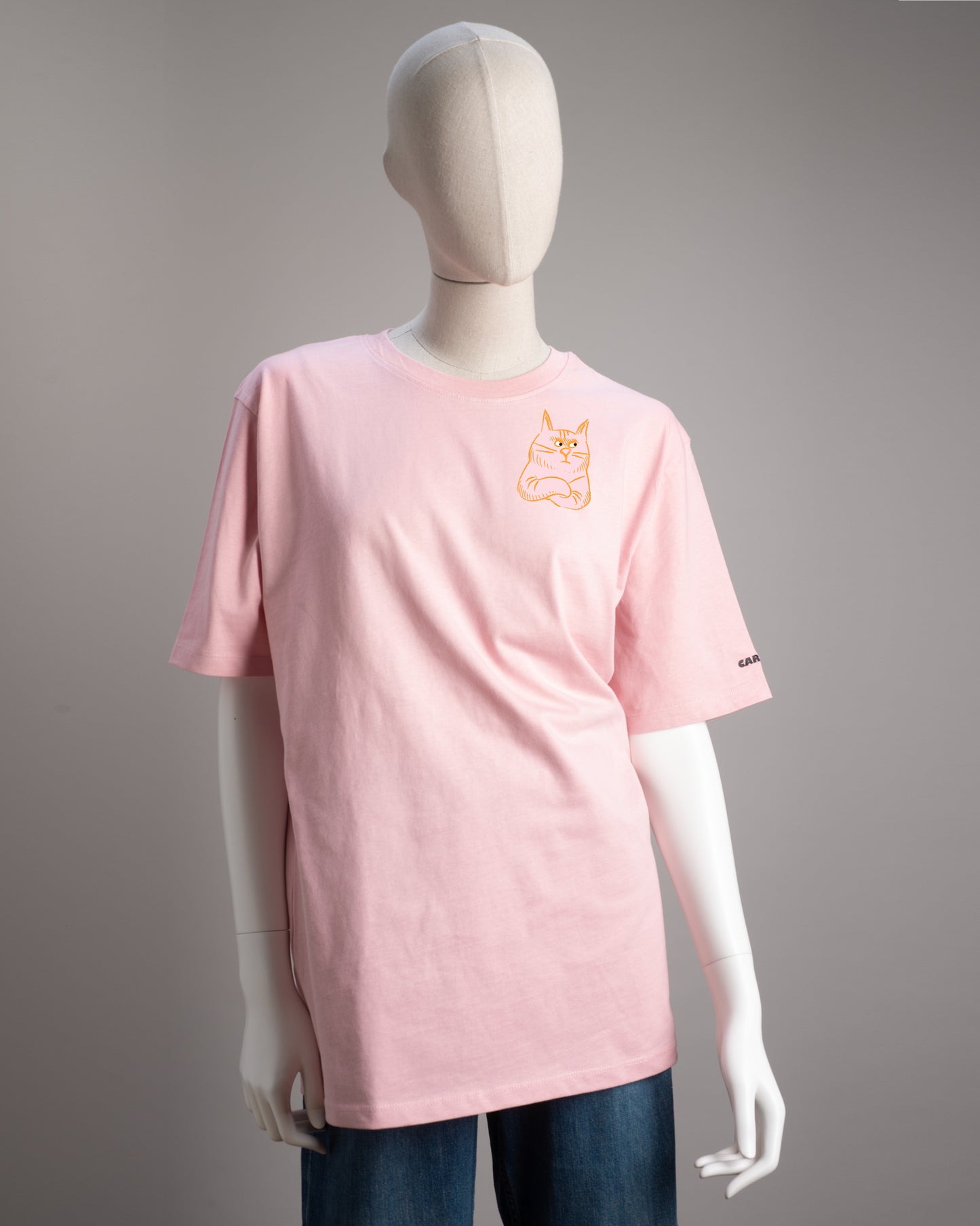 Pink Cat