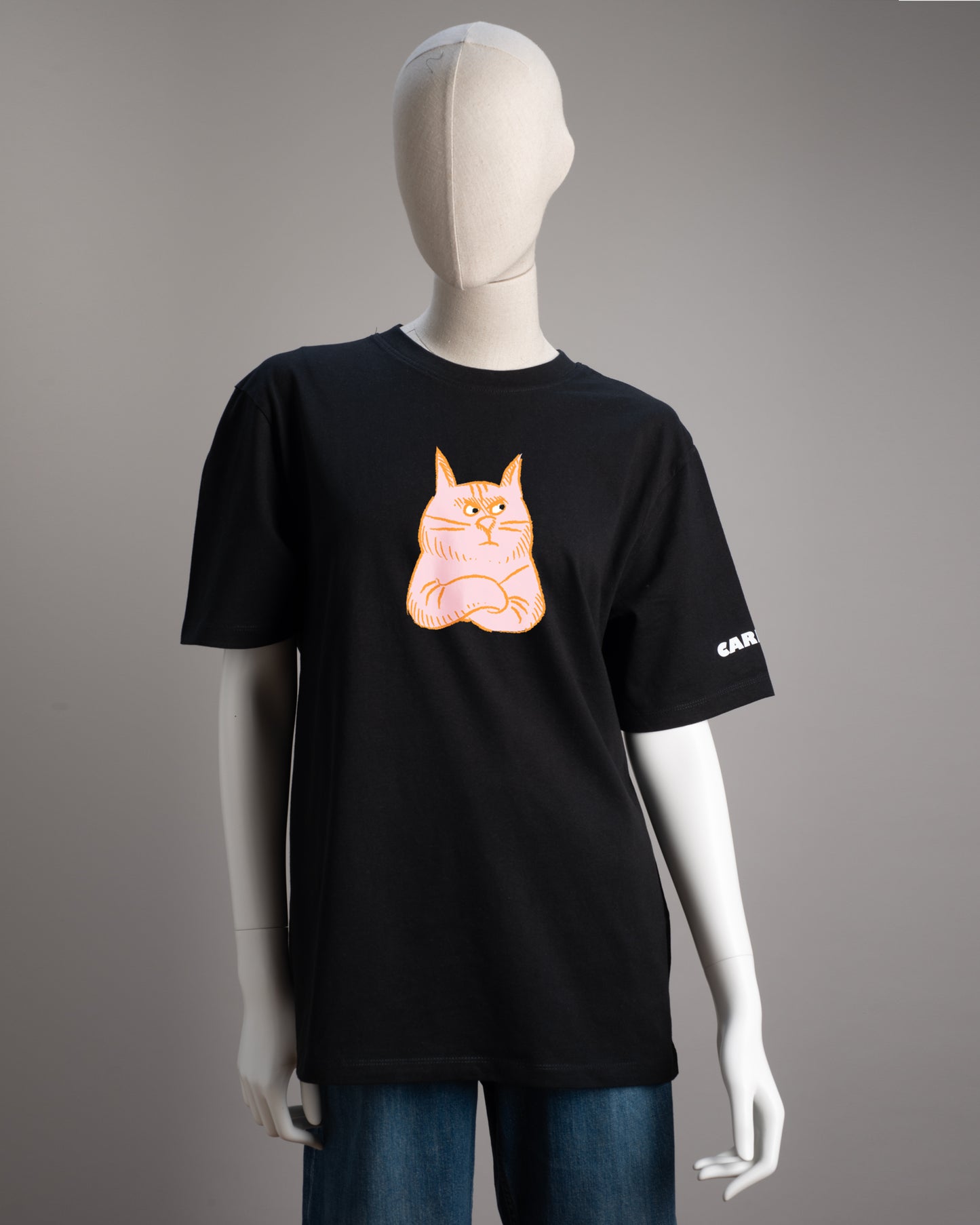 Pink Cat