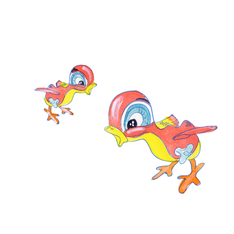 Birdys