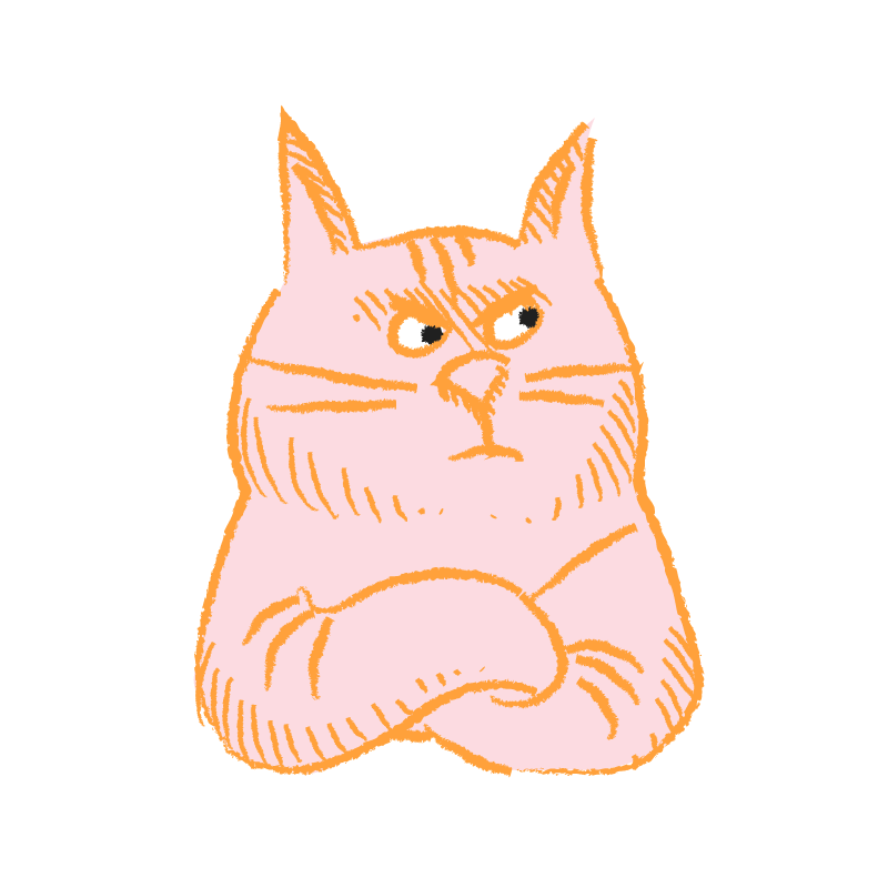 Pink Cat