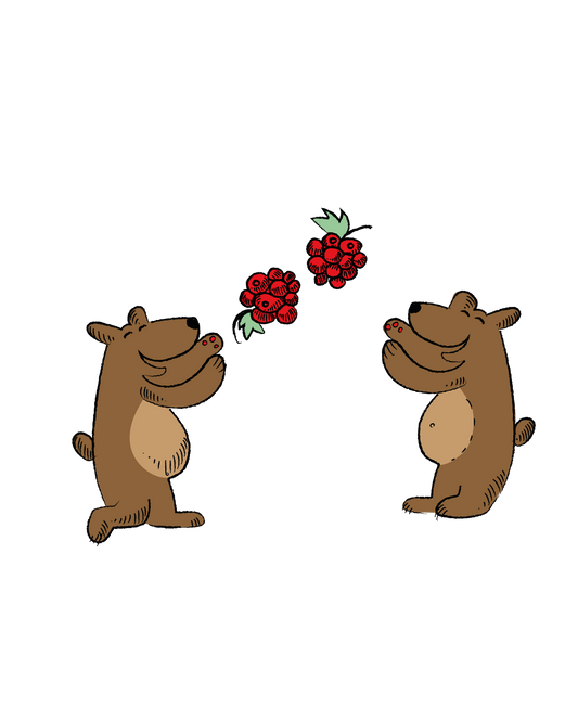 Bären Beeren