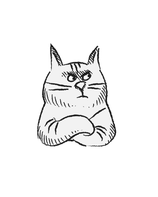Black Cat