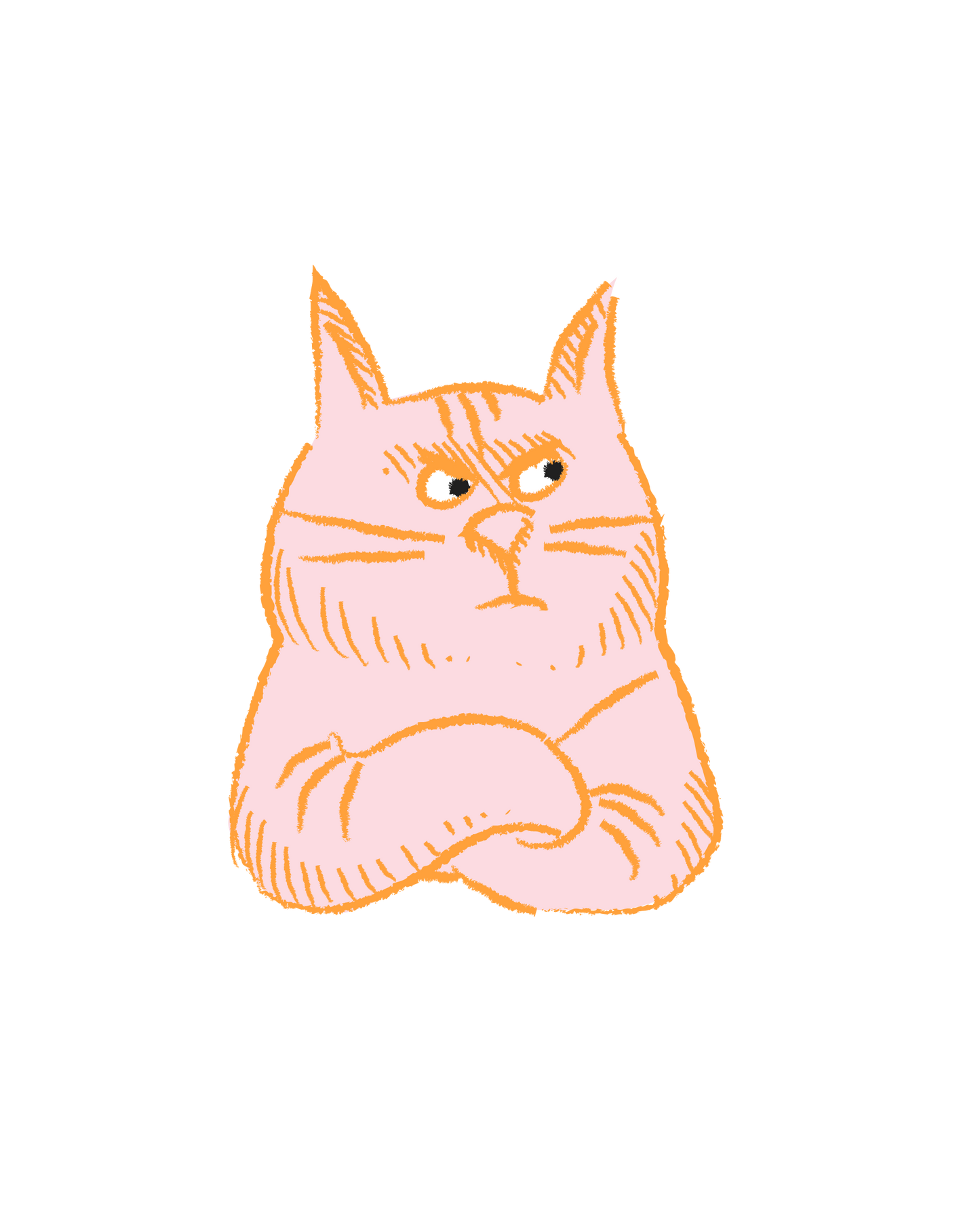 Pink Cat